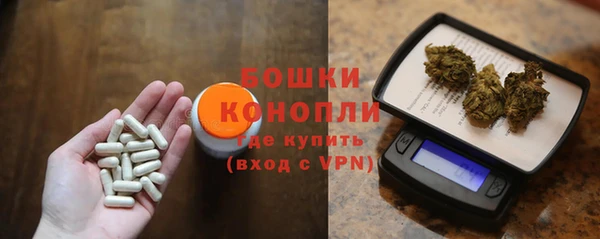 спиды Богородск
