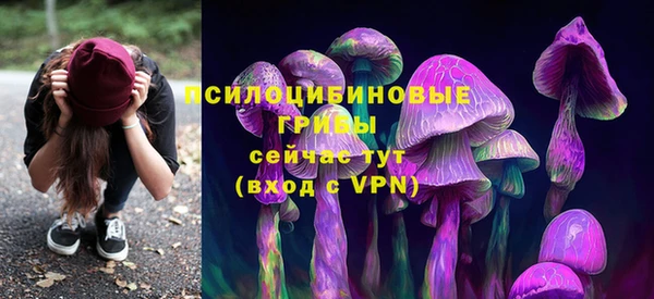 герыч Бронницы